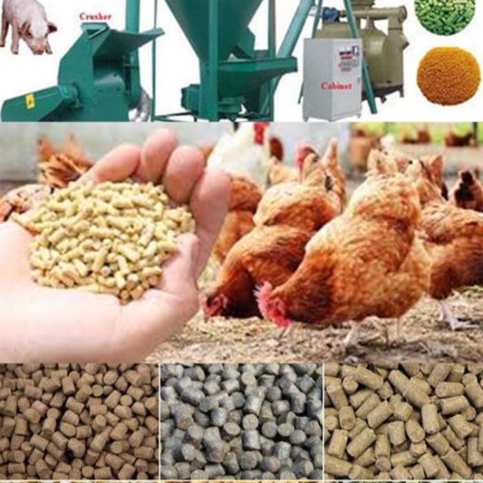 Vrouwen cooperatief 2