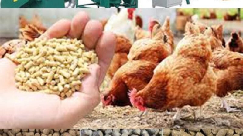 Vrouwen cooperatief 2