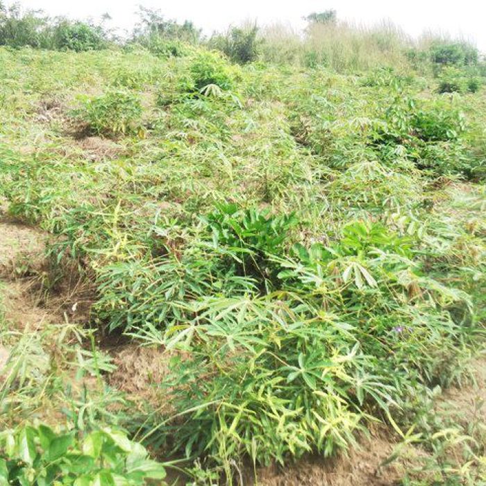 WhatsApp Image 2022-10-04 at 12.05.57