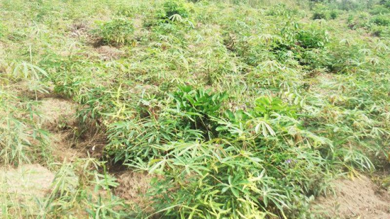 WhatsApp Image 2022-10-04 at 12.05.57